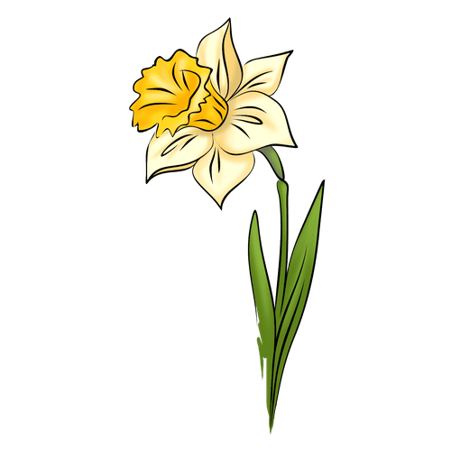 پیش دبستانی گل نرگس